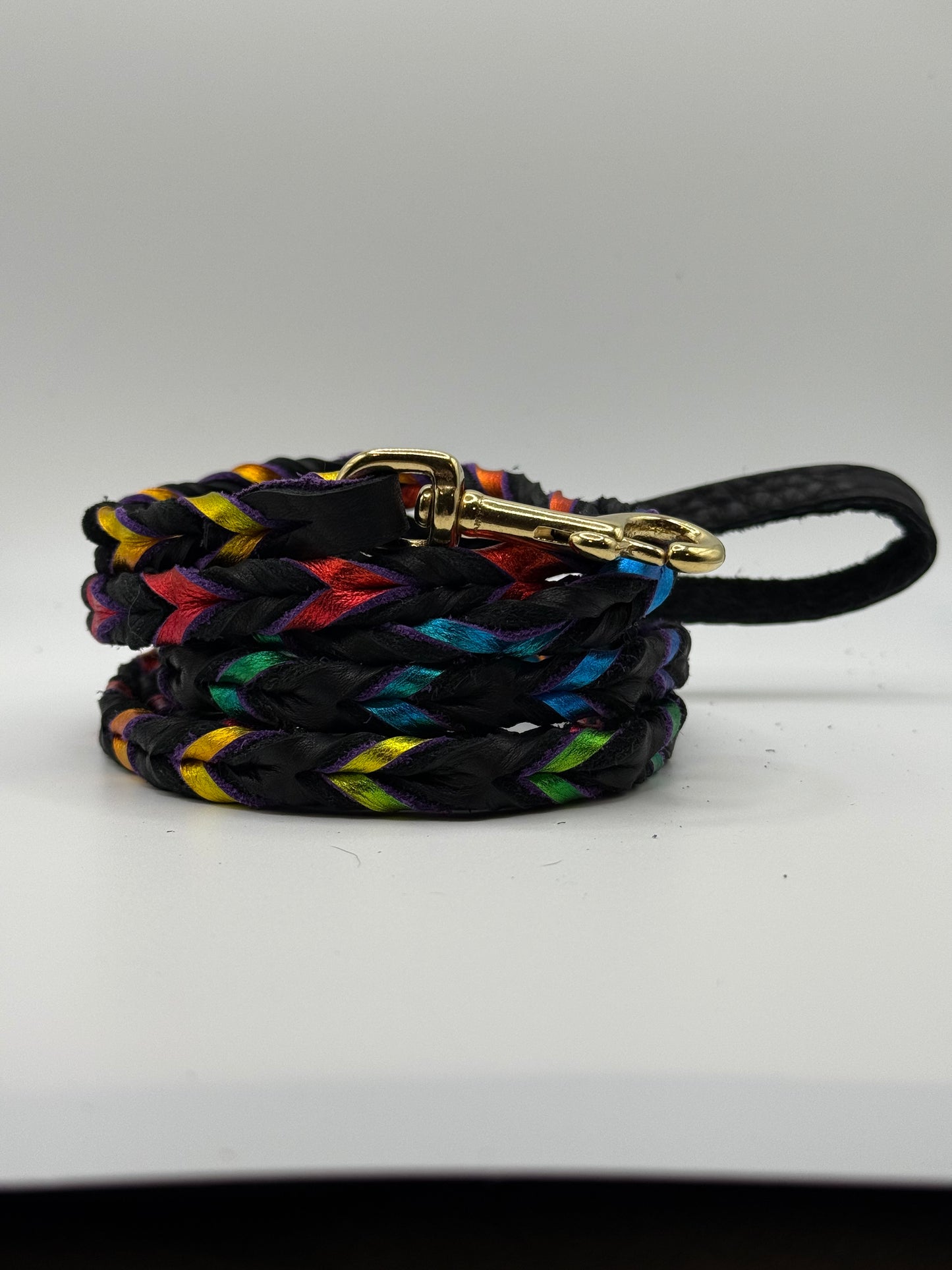 Black and Rainbow Metallic Braided Leather Leash