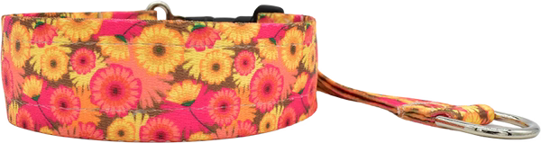 1.5" Hothouse Flowers Everyday Private Trainer