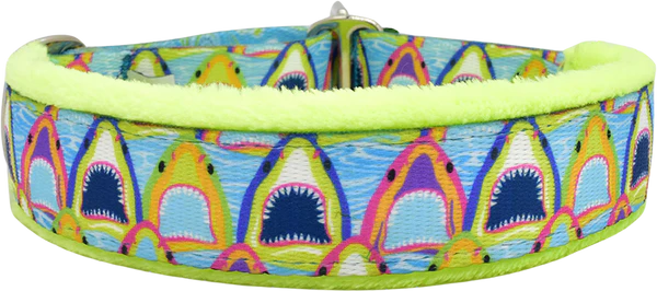 1" Bitey Face Everyday Limited Slip Collar