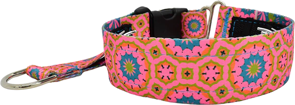 1.5" Andorra Everyday Private Trainer