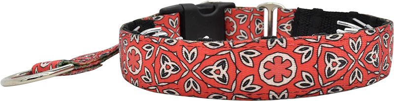 1" Scarlet Eclipse Everyday Private Trainer