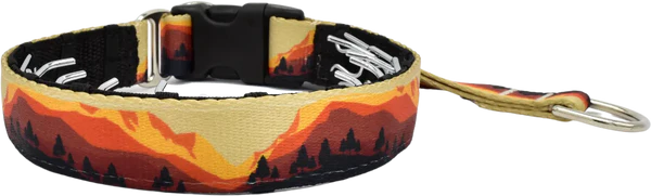 1" Take a Peak Everyday Private Trainer