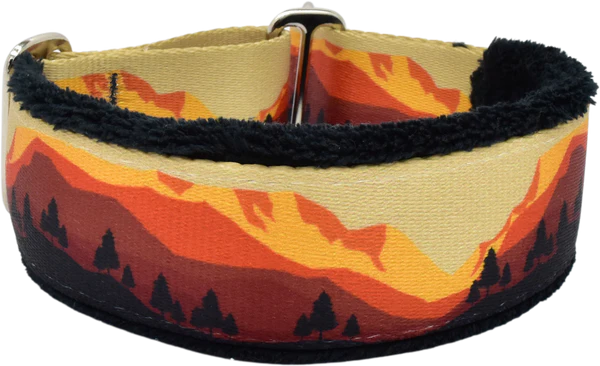 1.5" Take a peak Everyday Limited Slip Collar