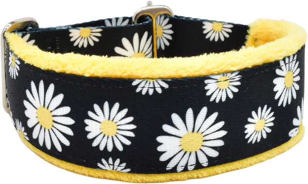 1.5" Buttercup daisies Everyday Limited Slip Collar