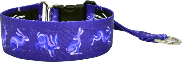 1.5" Groovy Rabbits Everyday Private Trainer