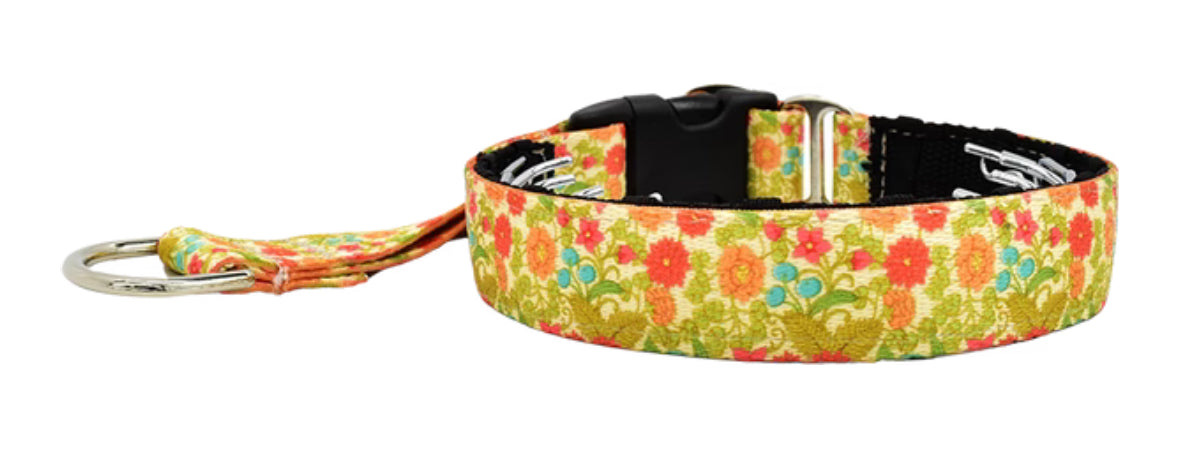 1" Emma Everyday Private Trainer