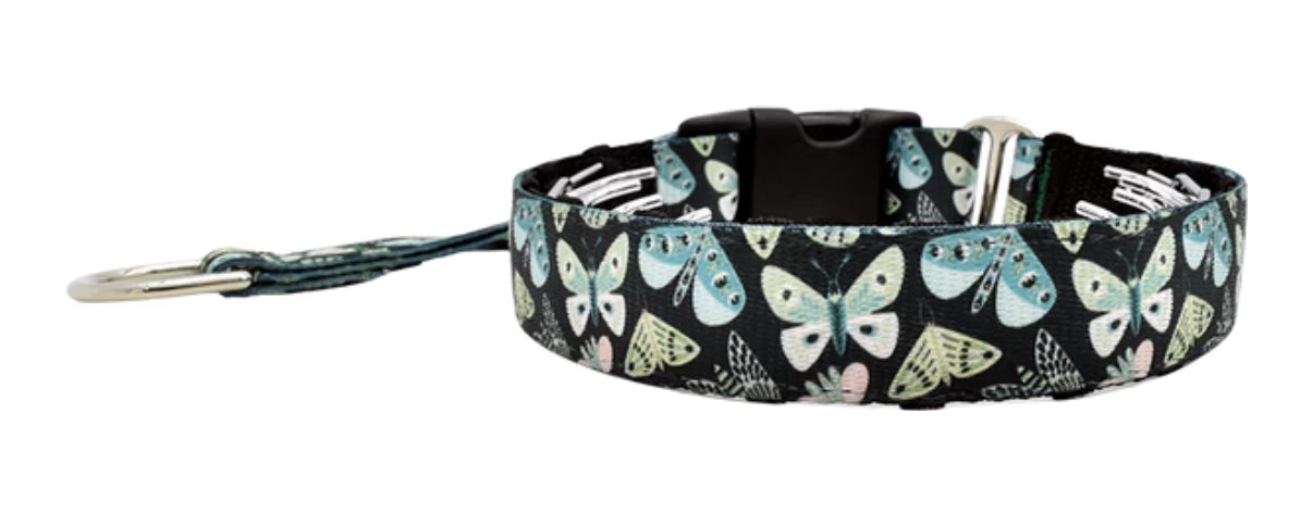 1" Luna Everyday Private Trainer