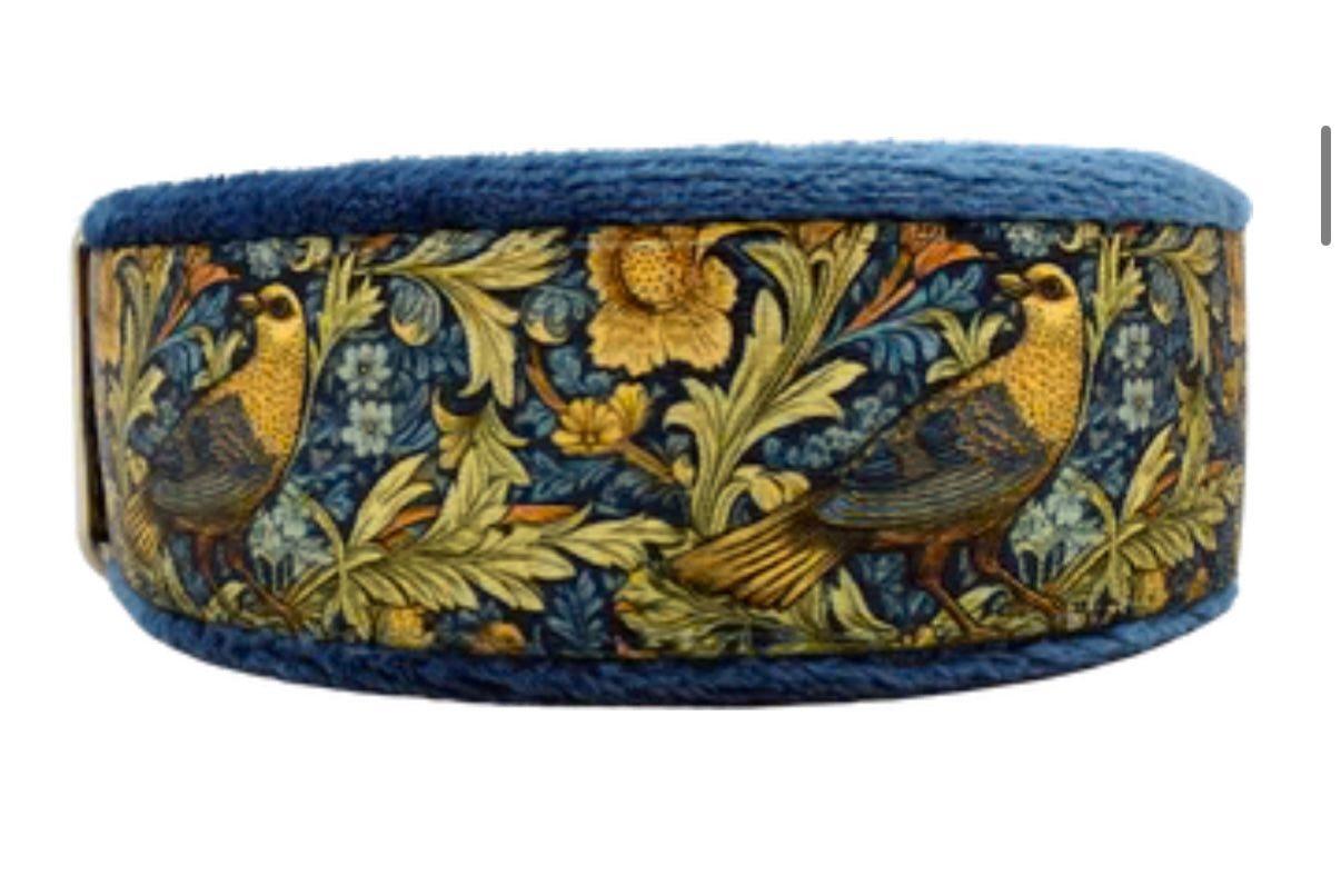 1" Flight of Fancy Everyday Limited Slip Collar