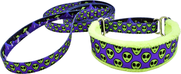 1" Visitor Everyday Martingale Walking Lead