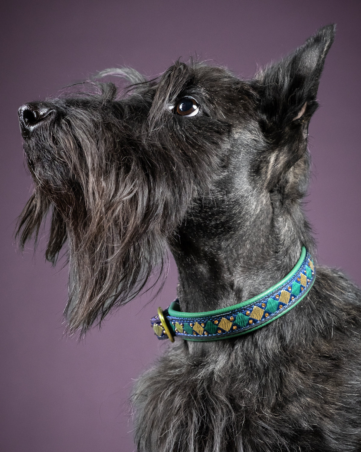 5/8" Sir William Luxe Limited Slip Collar