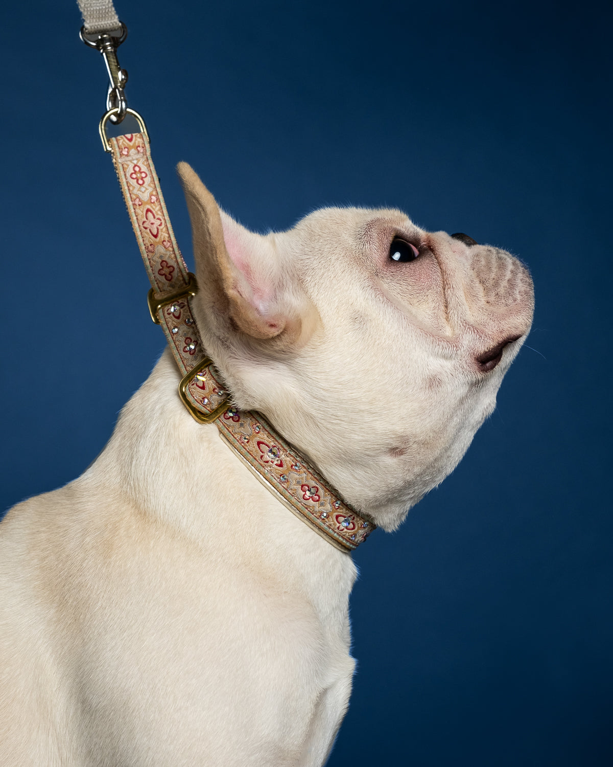 5/8" Champagne Viennese Luxe Limited Slip Collar