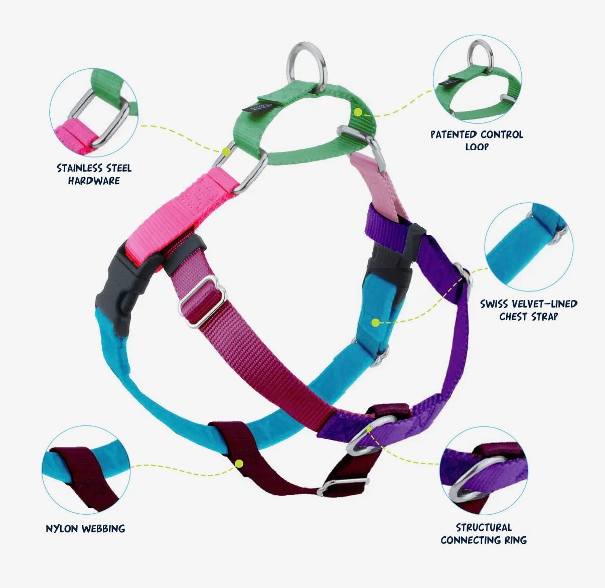 2 Hounds design harnesses and leashes