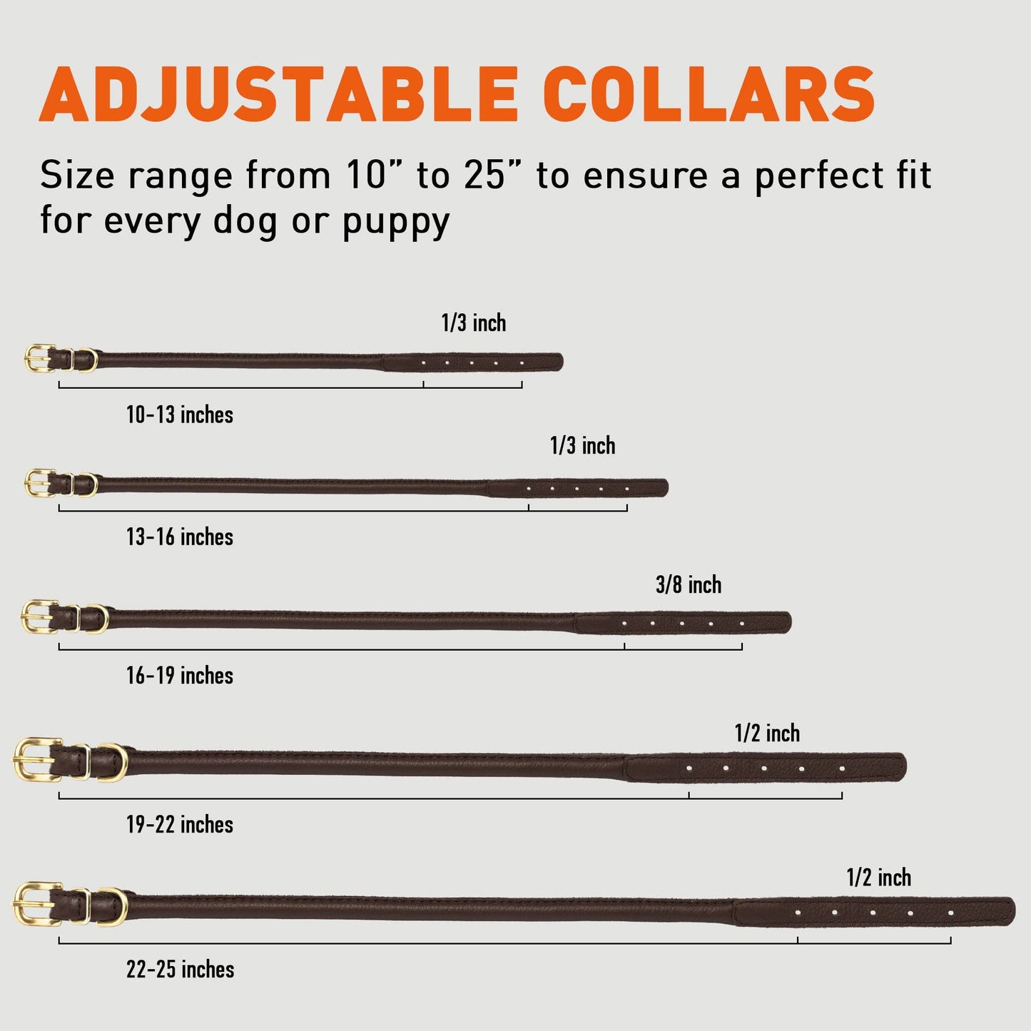 Soft Rolled Leather Dog Collar with Brass Hardware: Teal / 10-13" / 1/3"