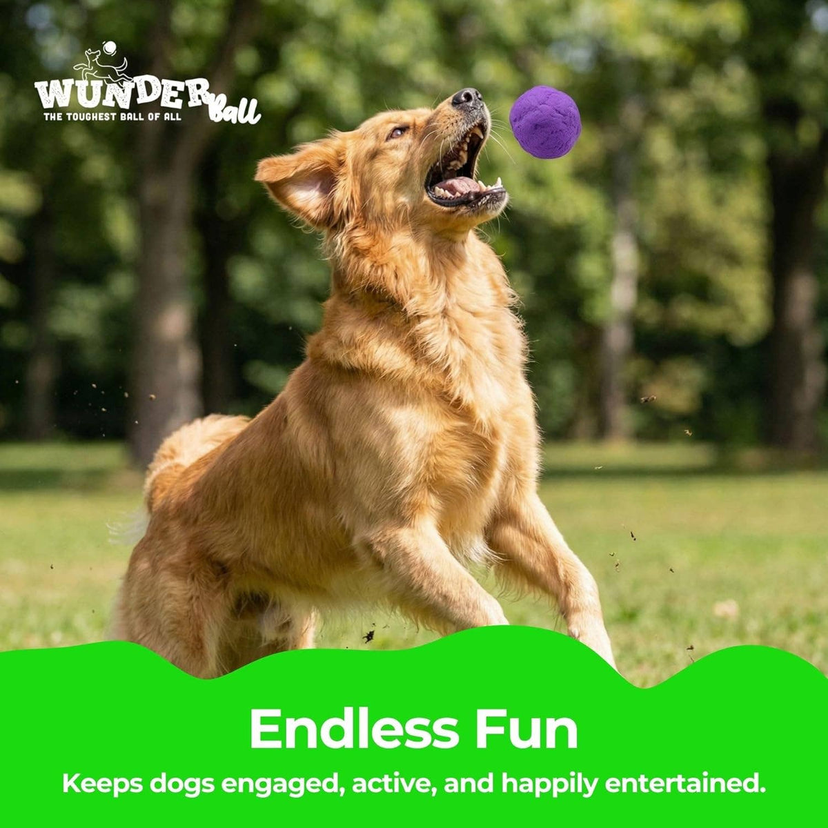 WUNDERball Large Dog Toy Refill – 12 Pack: Swirls