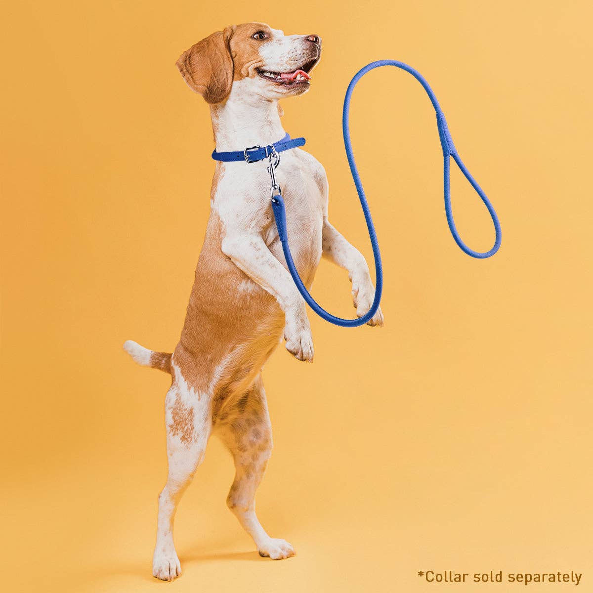 Soft Leather Round Lead: Royal Blue / 4' / 1/4"