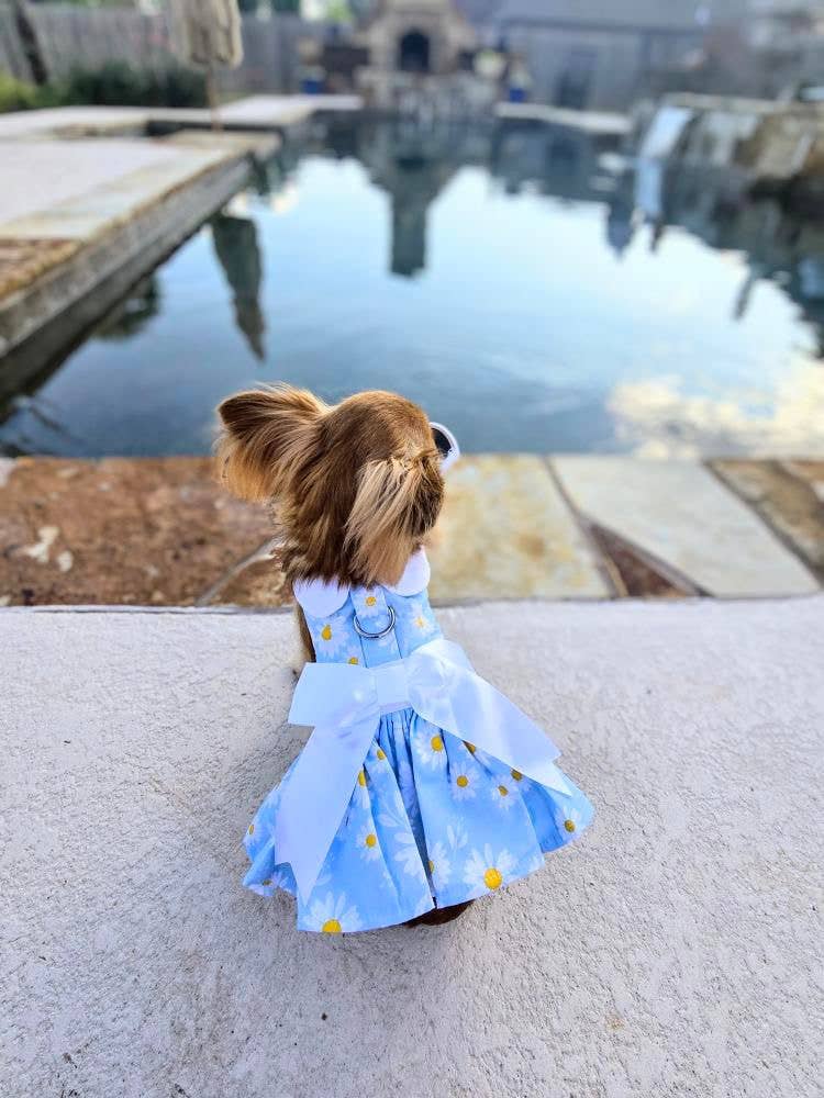 Blue Daisy Dog Dress w/ Matching Leash: Small