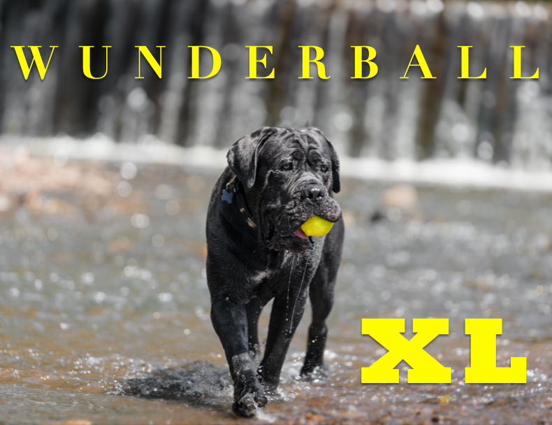 WUNDERball XL Dog Toy Refill – 12 Pack: Solids / X Large