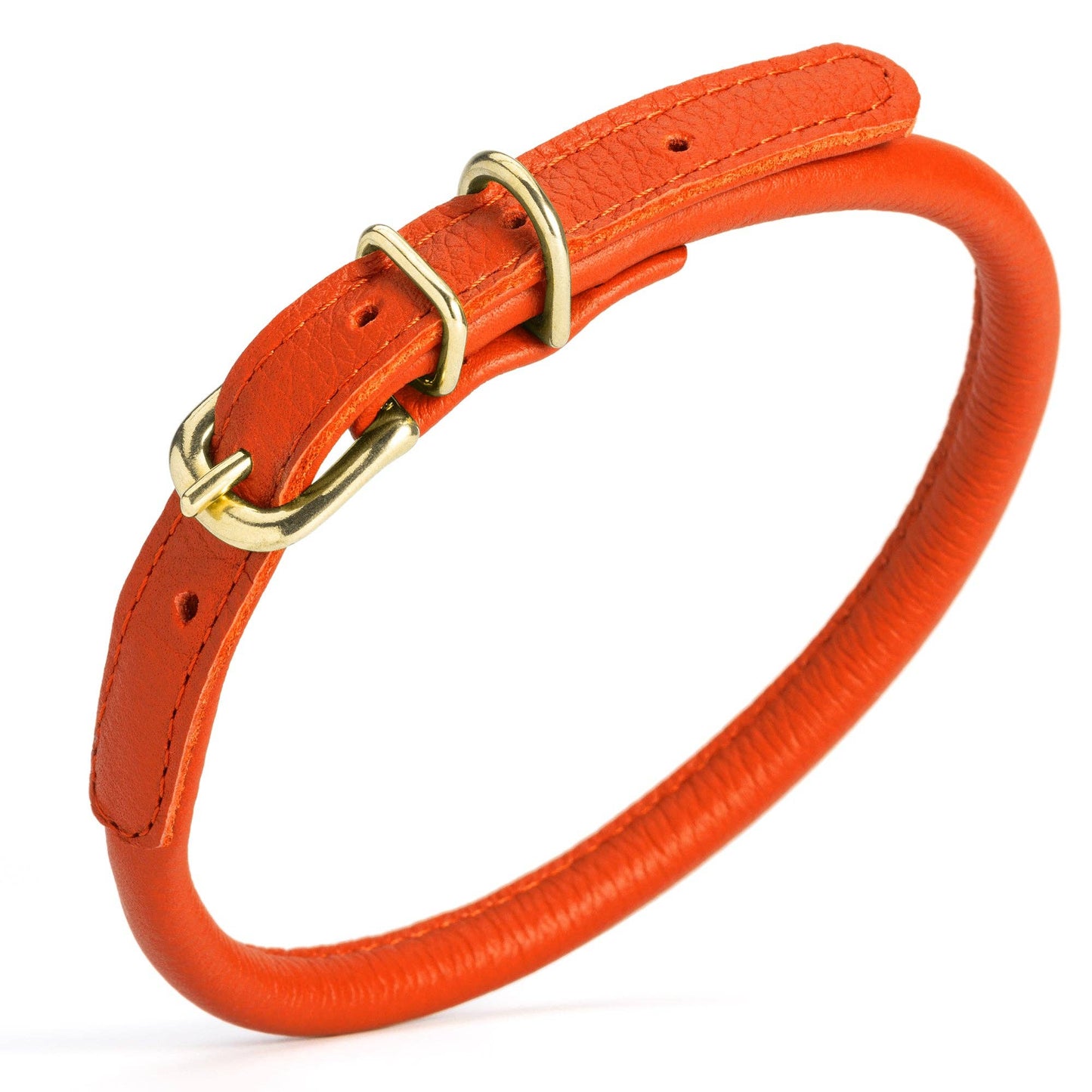 Soft Rolled Leather Dog Collar with Brass Hardware: Teal / 10-13" / 1/3"