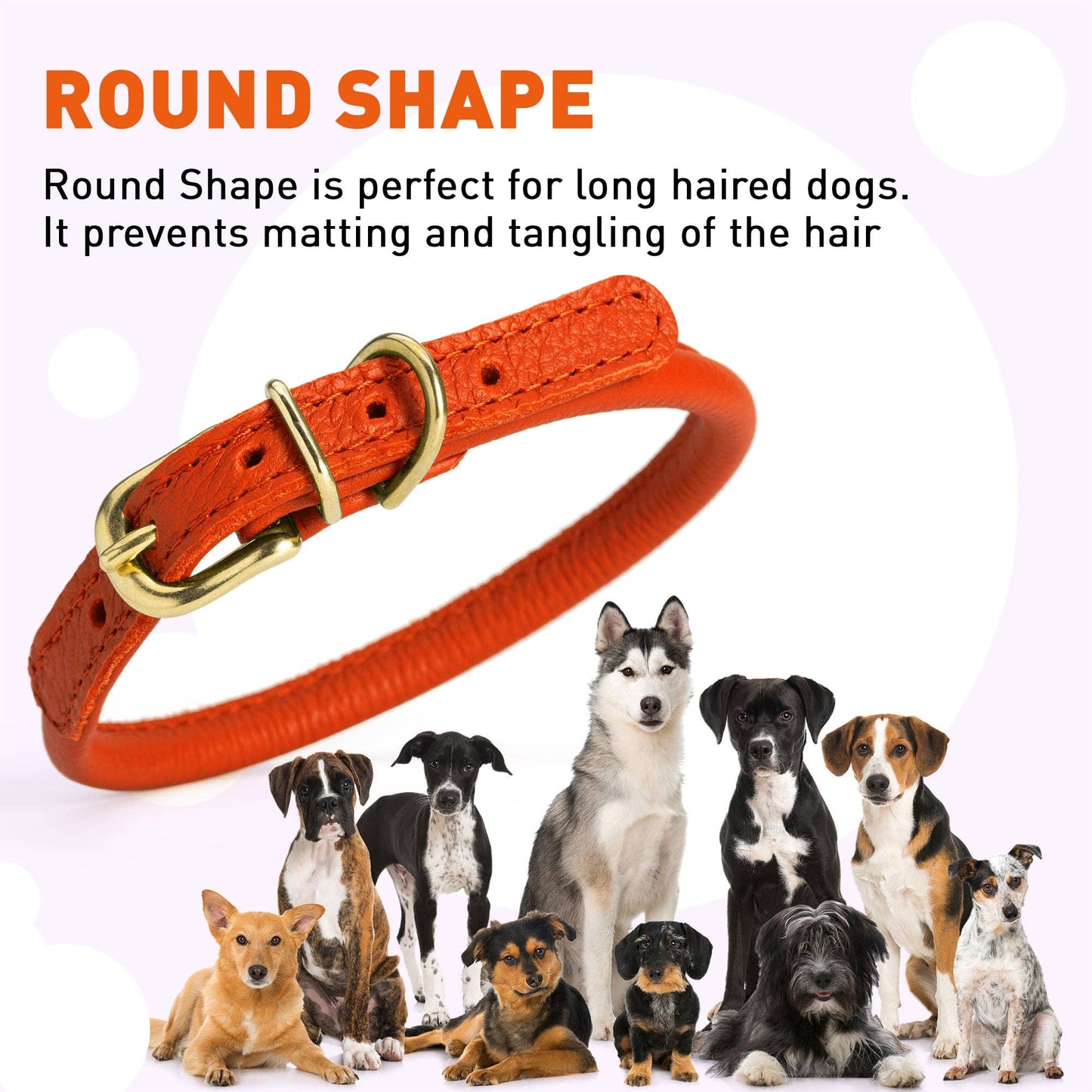 Soft Rolled Leather Dog Collar with Brass Hardware: Royal Blue / 10-13" / 1/3"
