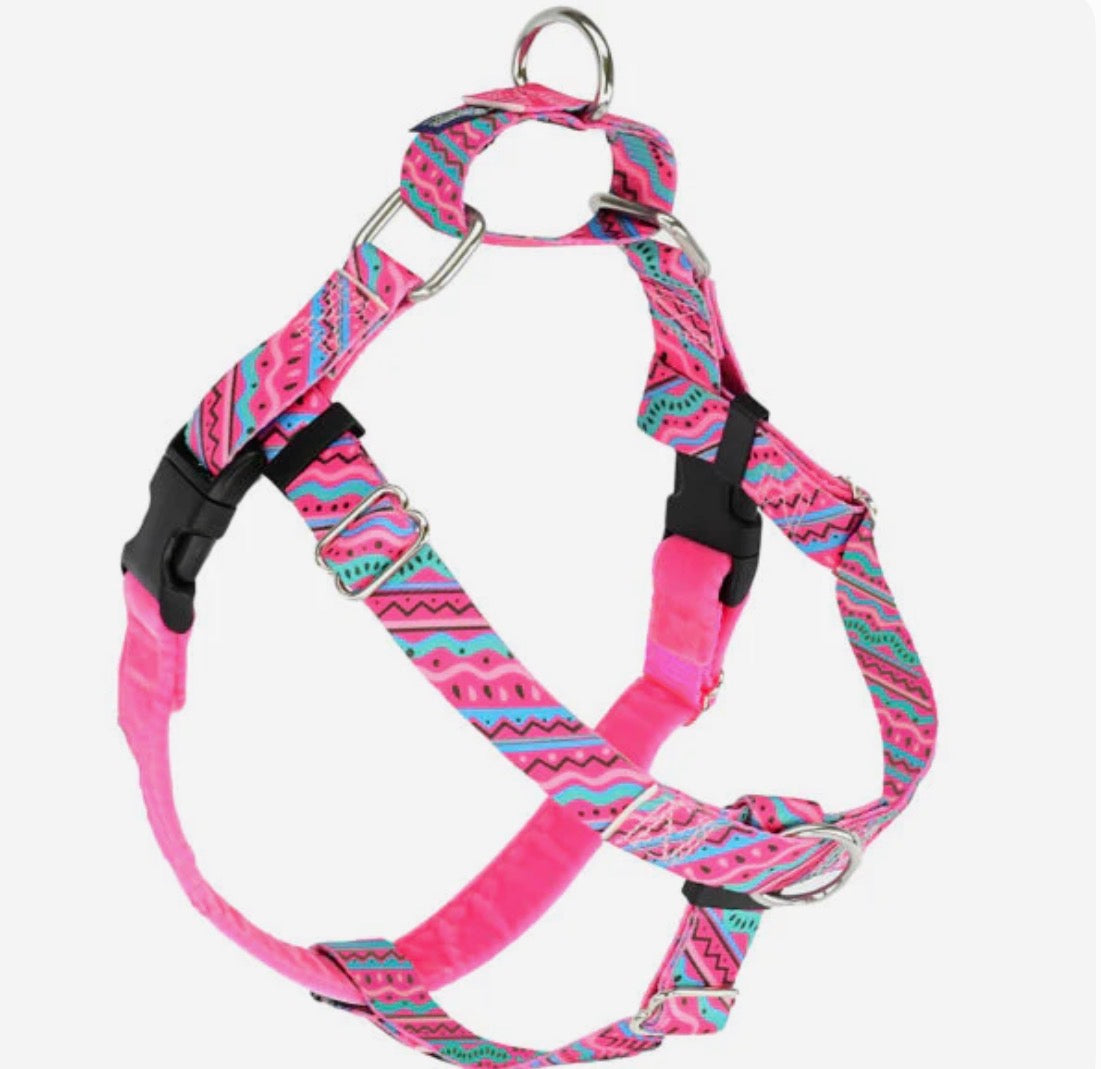 2 Hound Design Freedom harness/leash (Main Street)