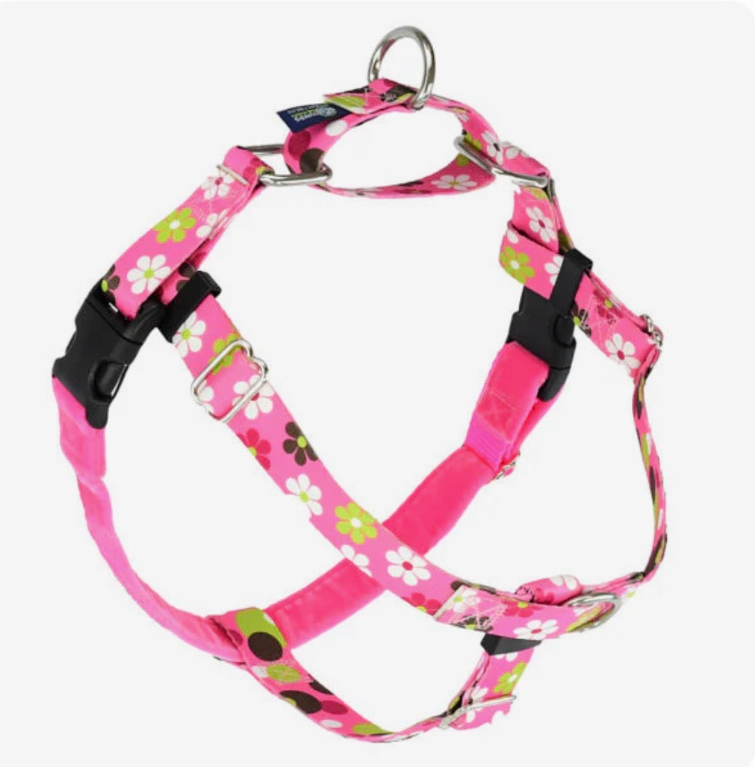 2 Hound Design Freedom harness/leash (Main Street)