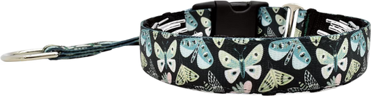 1.5" Luna Everyday Private Trainer