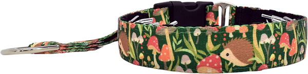 1" Shroom Dudes Everyday Private Trainer