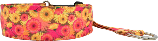 1.5" Hothouse Flowers Everyday Private Trainer