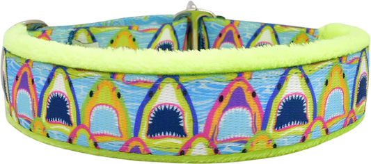 1" Bitey Face Everyday Limited Slip Collar