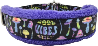 1' Good Vibes Everyday Limited Slip Collar