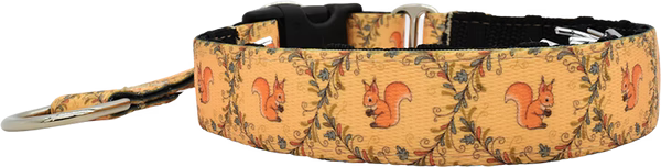 1" The S Word Everyday Private Trainer