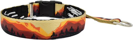 1" Take a Peak Everyday Private Trainer