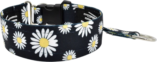 1.5" Buttercup daisies Everyday Private Trainer