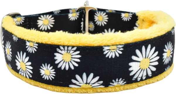 1" Buttercup daisies Everyday Limited Slip Collar