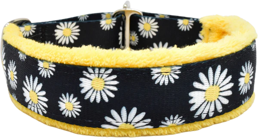 1" Buttercup daisies Everyday Limited Slip Collar