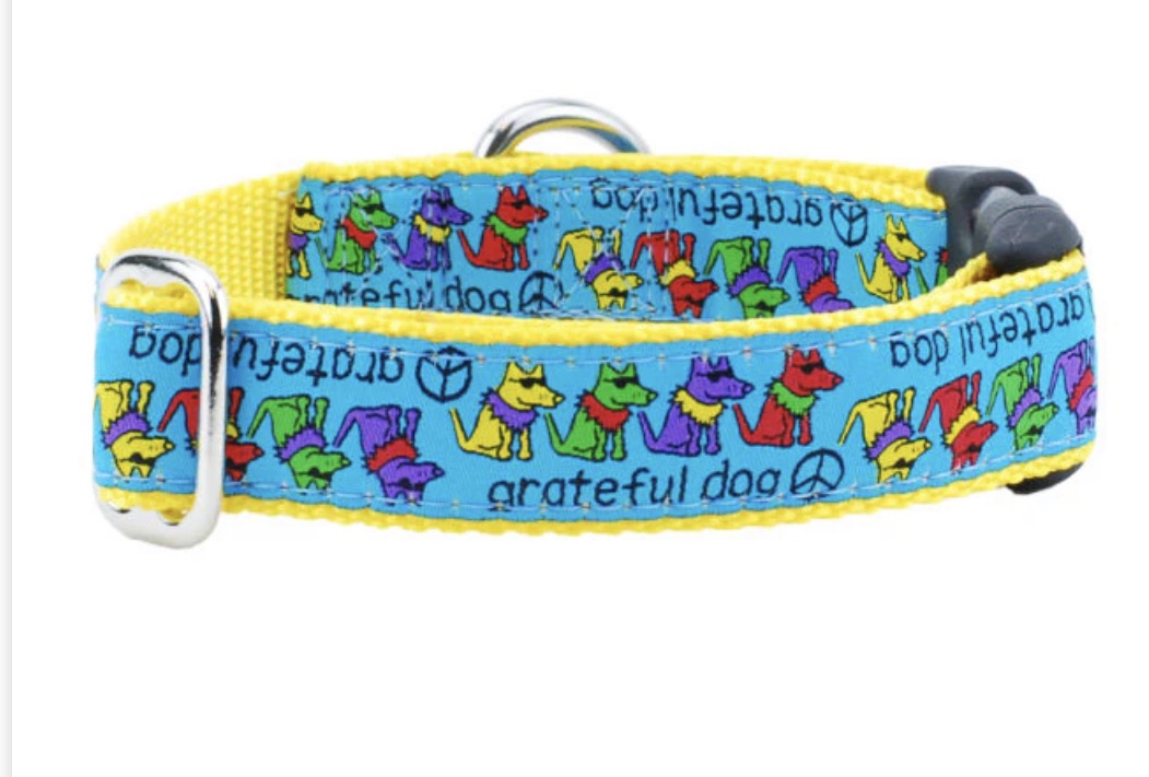 2 Hound Design Freedom harness/leash (Main Street)