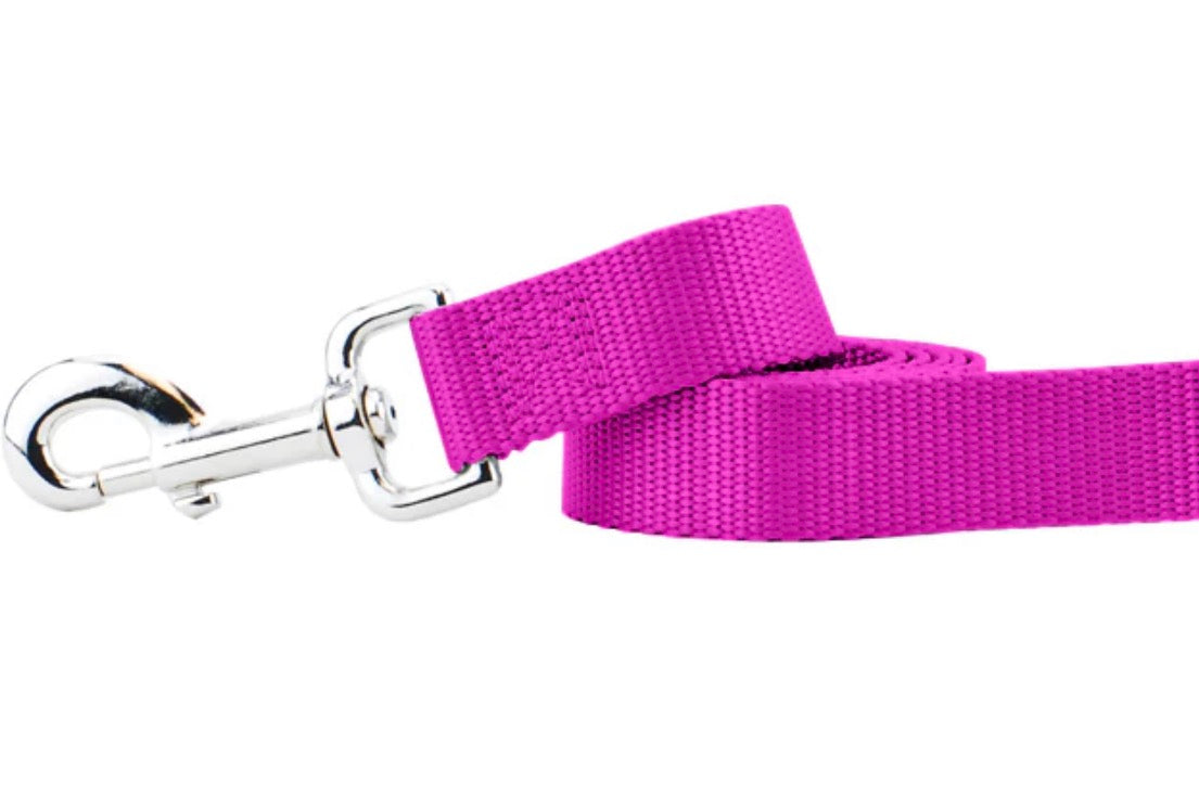 2 Hound Design Freedom harness/leash (Main Street)