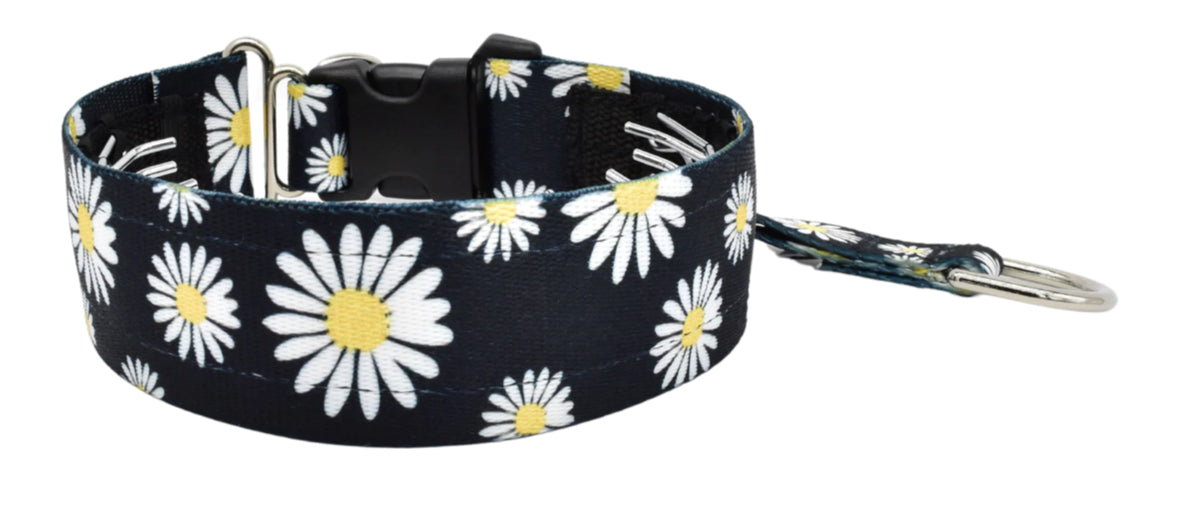 1.5" Buttercup Daisies Everyday Private Trainer