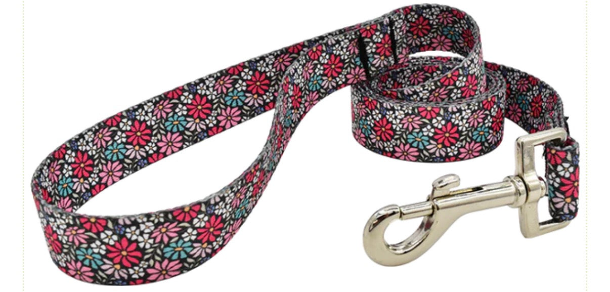 1" Patterned Snap Leash