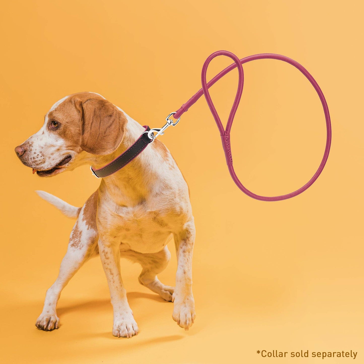 Soft Leather Round Lead: Royal Blue / 4' / 1/4"
