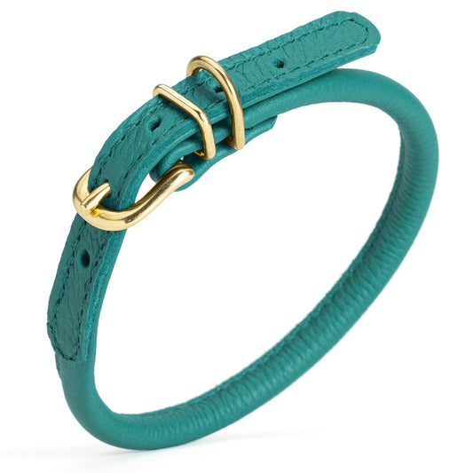 Soft Rolled Leather Dog Collar with Brass Hardware: Teal / 10-13" / 1/3"