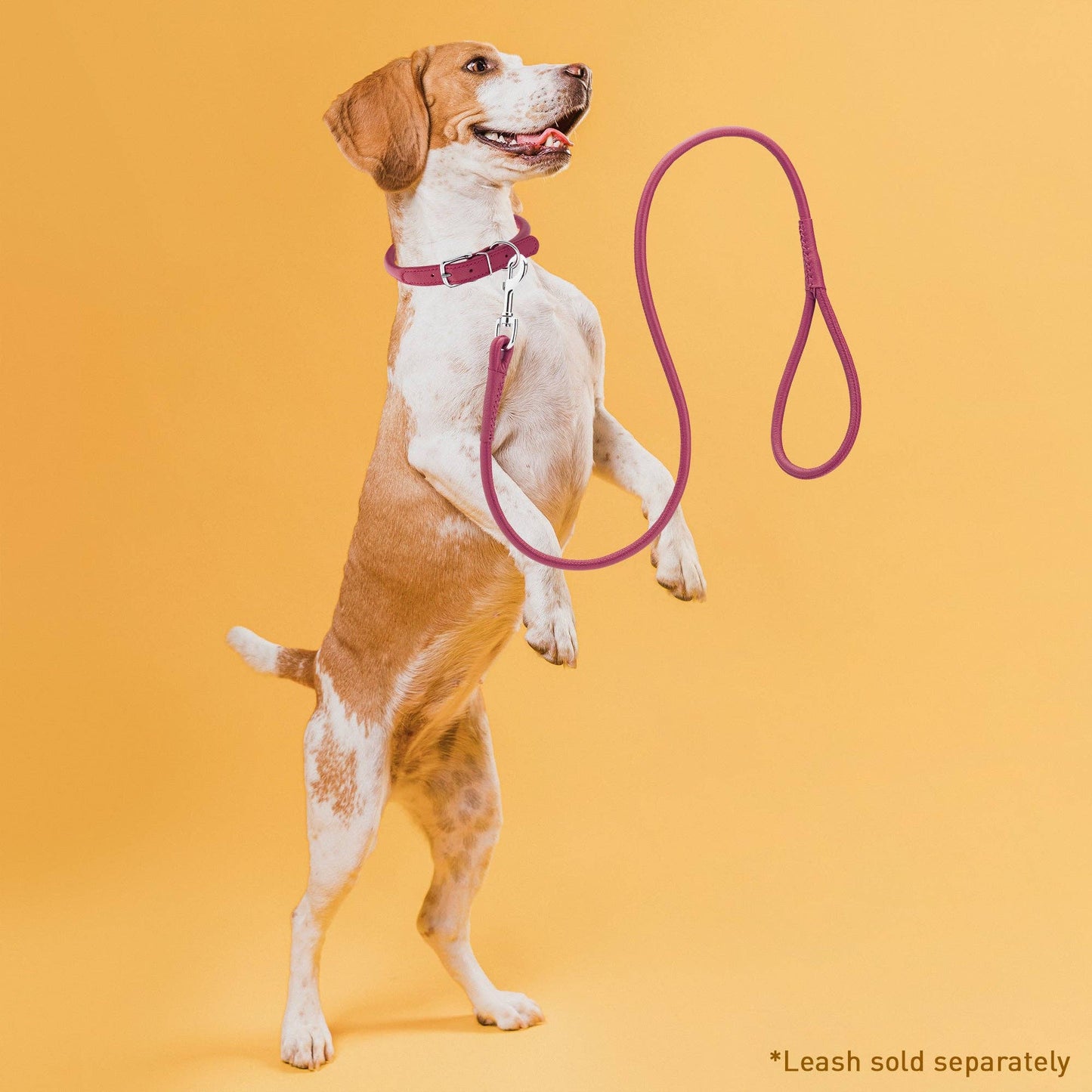 Soft Leather Collar Round: Pink / 8-10" / 1/4"