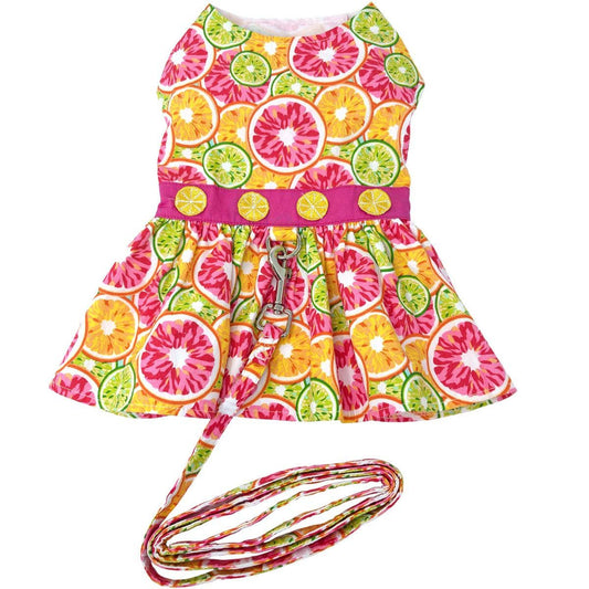 Citrus Slice Dog Dress w/ Matching Leash: Small