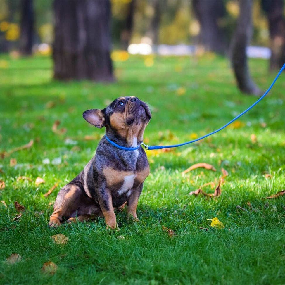 Soft Leather Collar Round: Teal / 8-10" / 1/4"