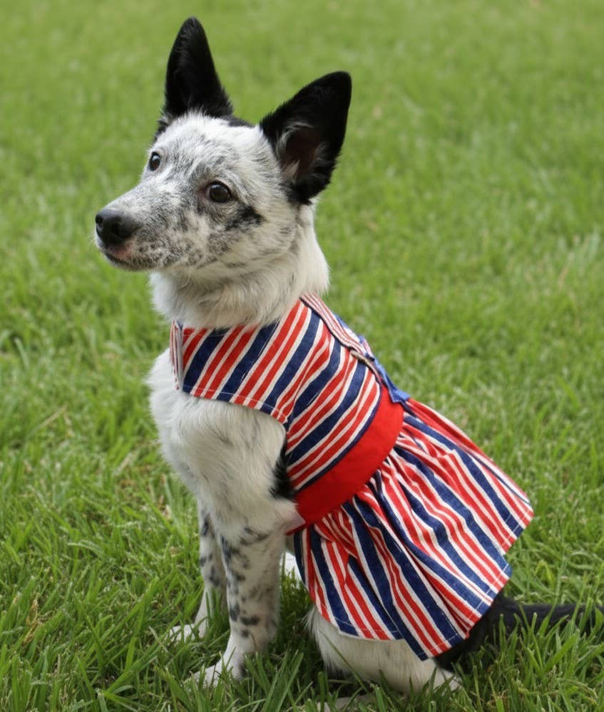 Patriotic Dog Dress with Matching Leash: X-Small