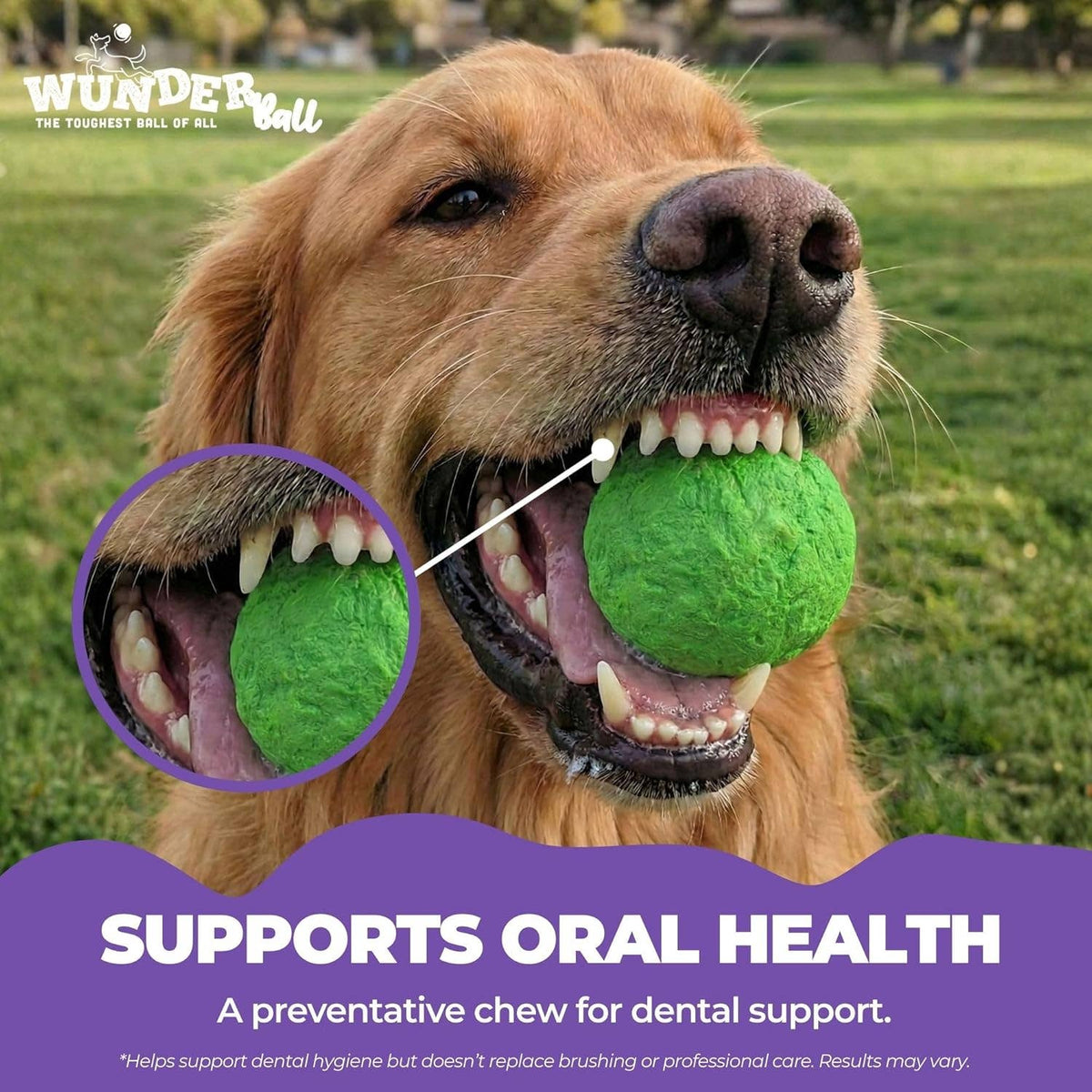 WUNDERball Large Dog Toy Refill – 12 Pack: Swirls