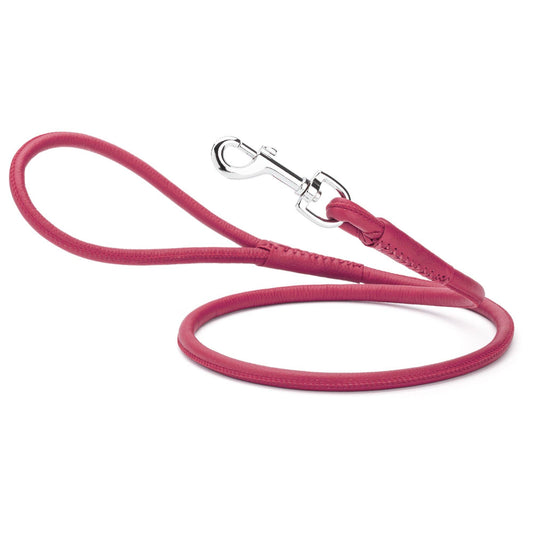 Soft Leather Round Lead: Pink / 4' / 1/4"