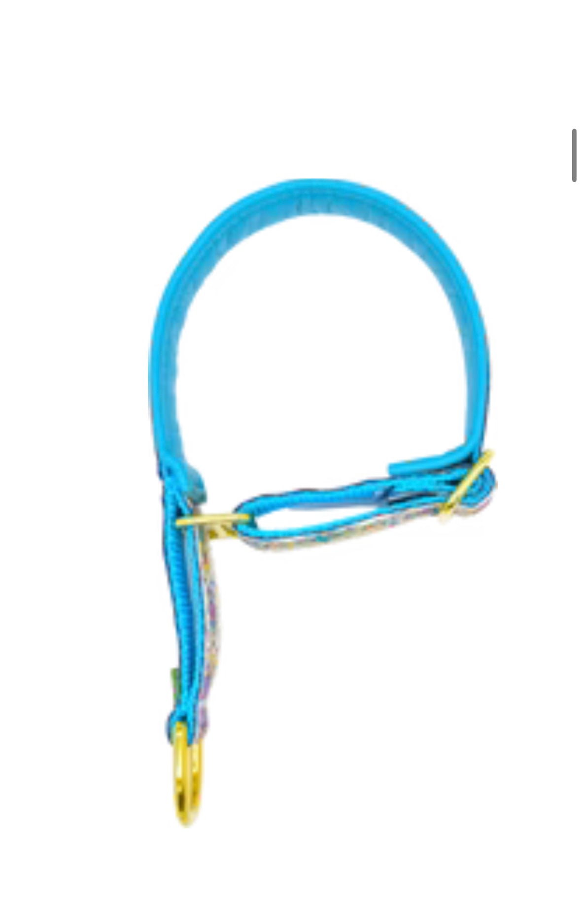 1" Turquoise Verona Luxe Limited Slip Collar