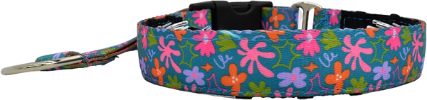 1" Whimsy Private Trainer