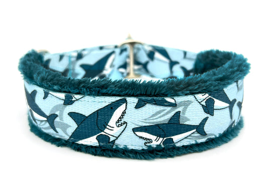 1" Shark Attack Everyday Limited Slip Collar